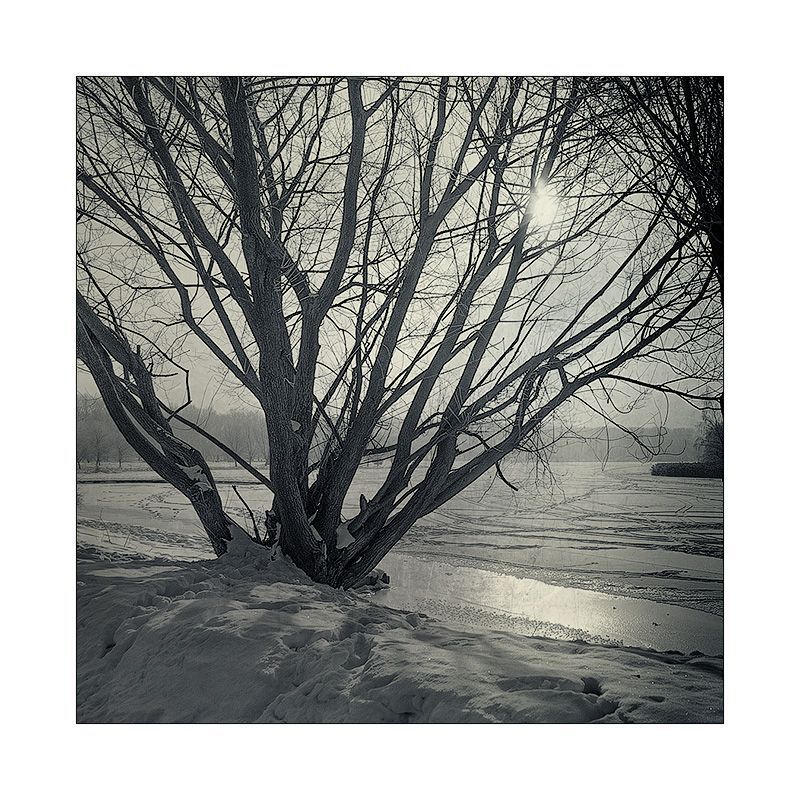 [x]