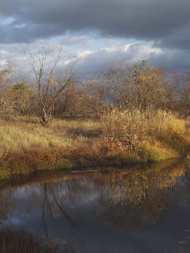 Photo 2620759