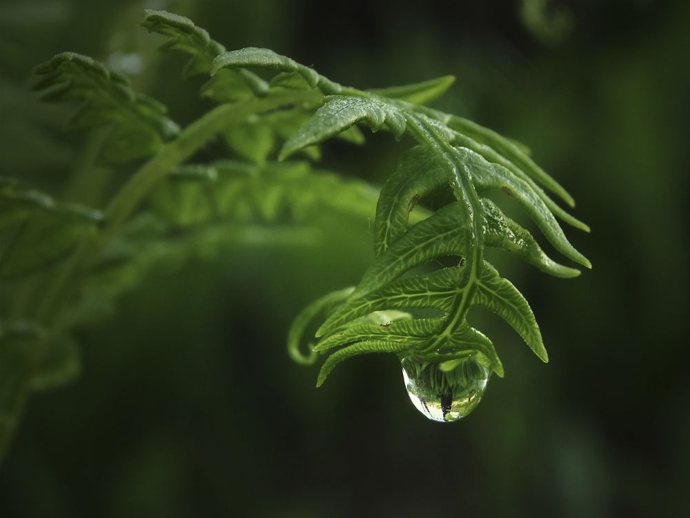 Photo 2620765