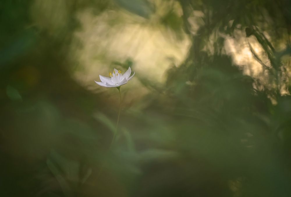 Photo 2621382