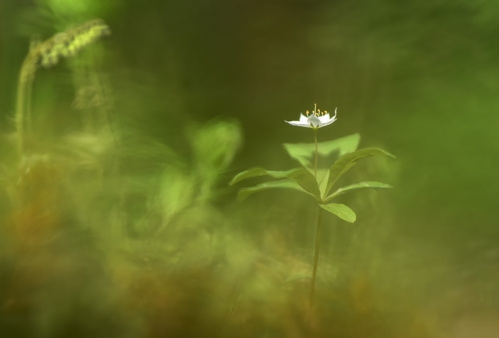 Photo 2621383