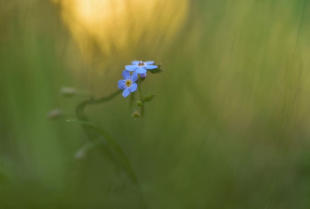 Photo 2621385