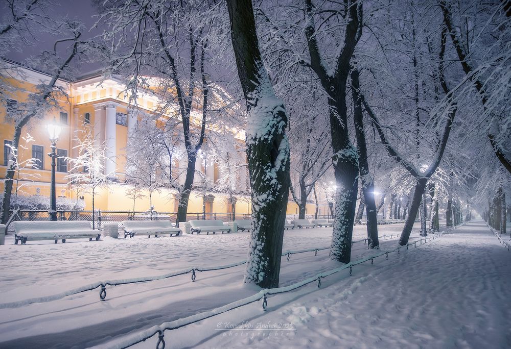 Снежное утро Петербурга...