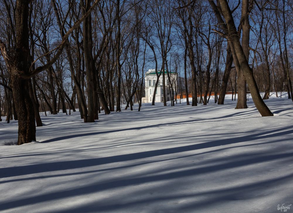 Коты из Богородицкого дворца-музея