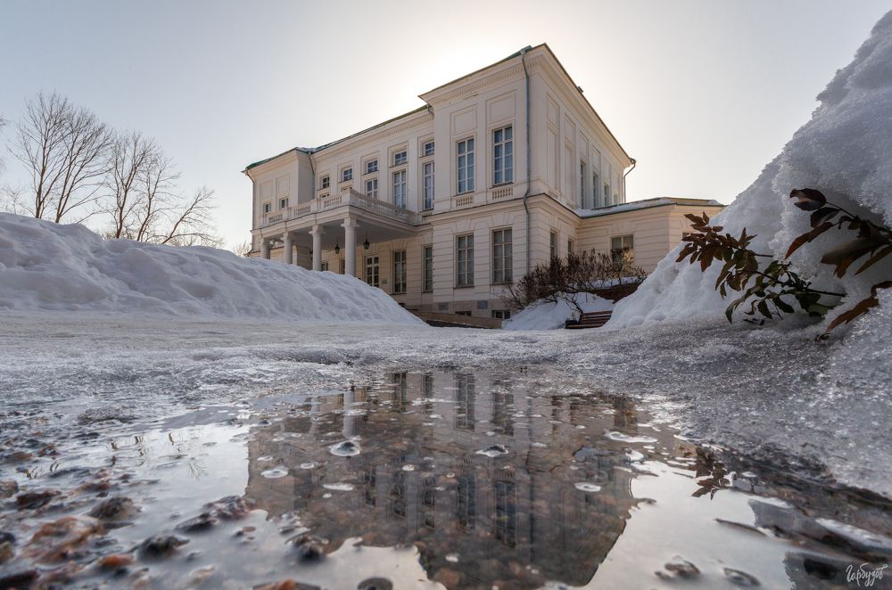 Коты из Богородицкого дворца-музея