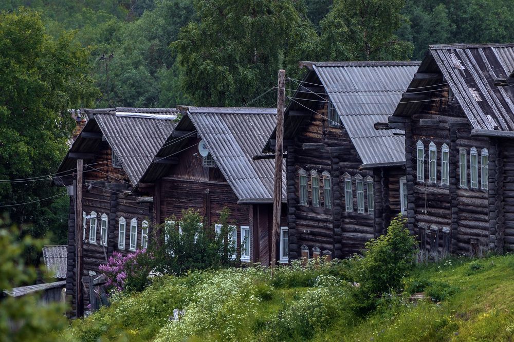 Сирень