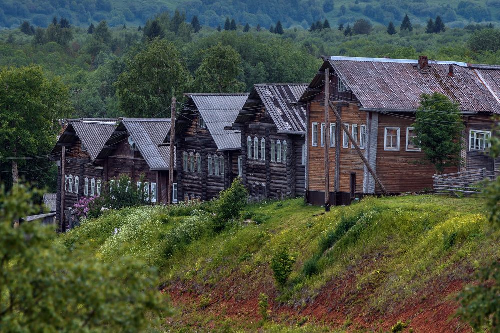 Сирень
