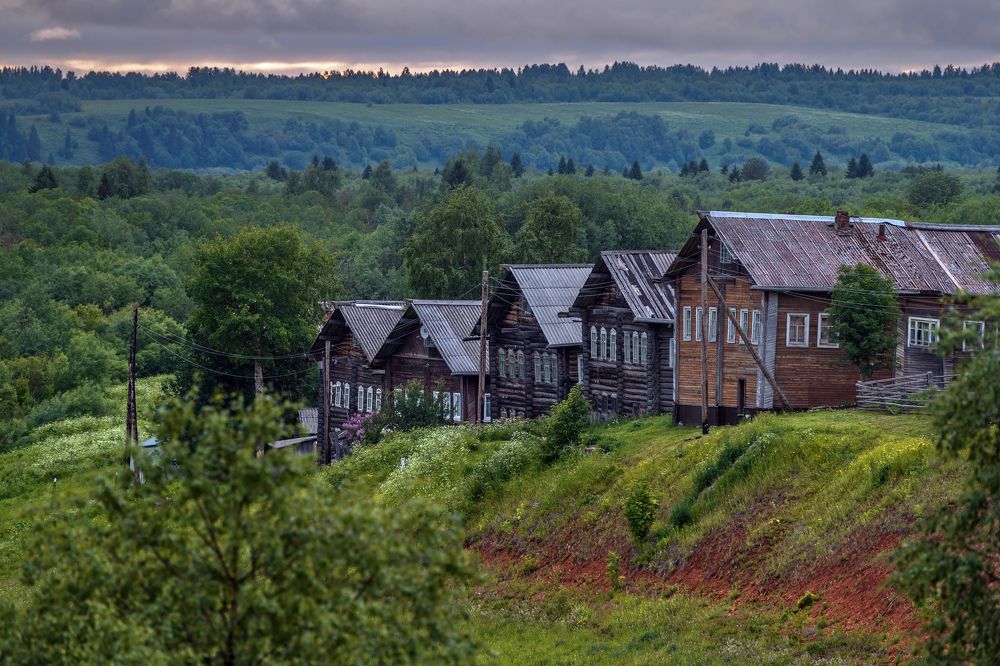 Сирень