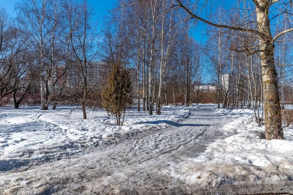 В парке весна