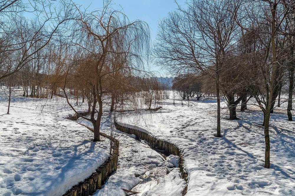 В парке весна