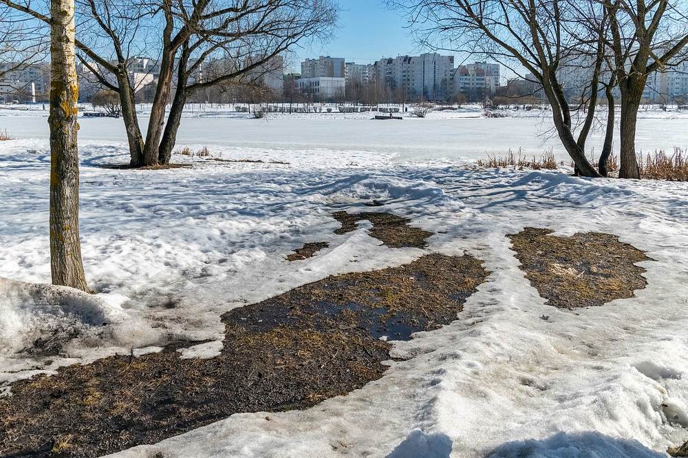 В парке весна