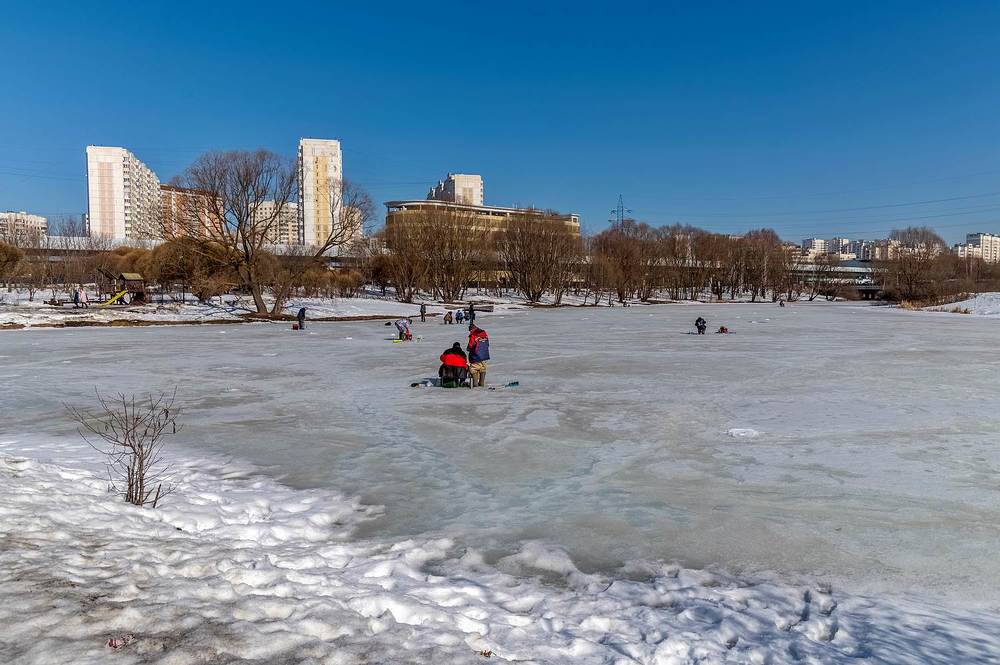 На весеннем пруду