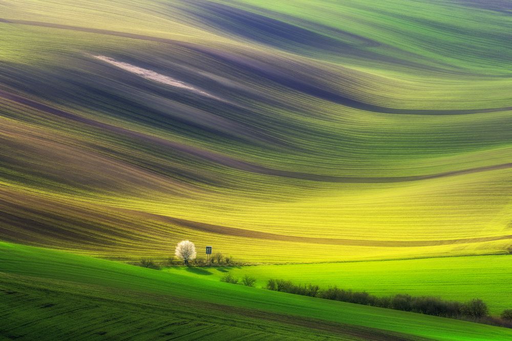 Spring colours