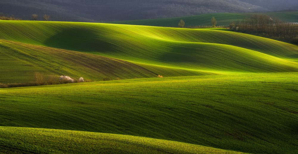Spring colours