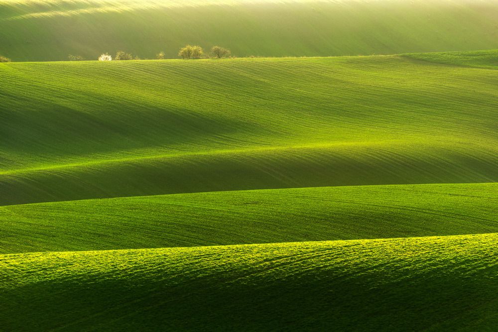 Spring colours