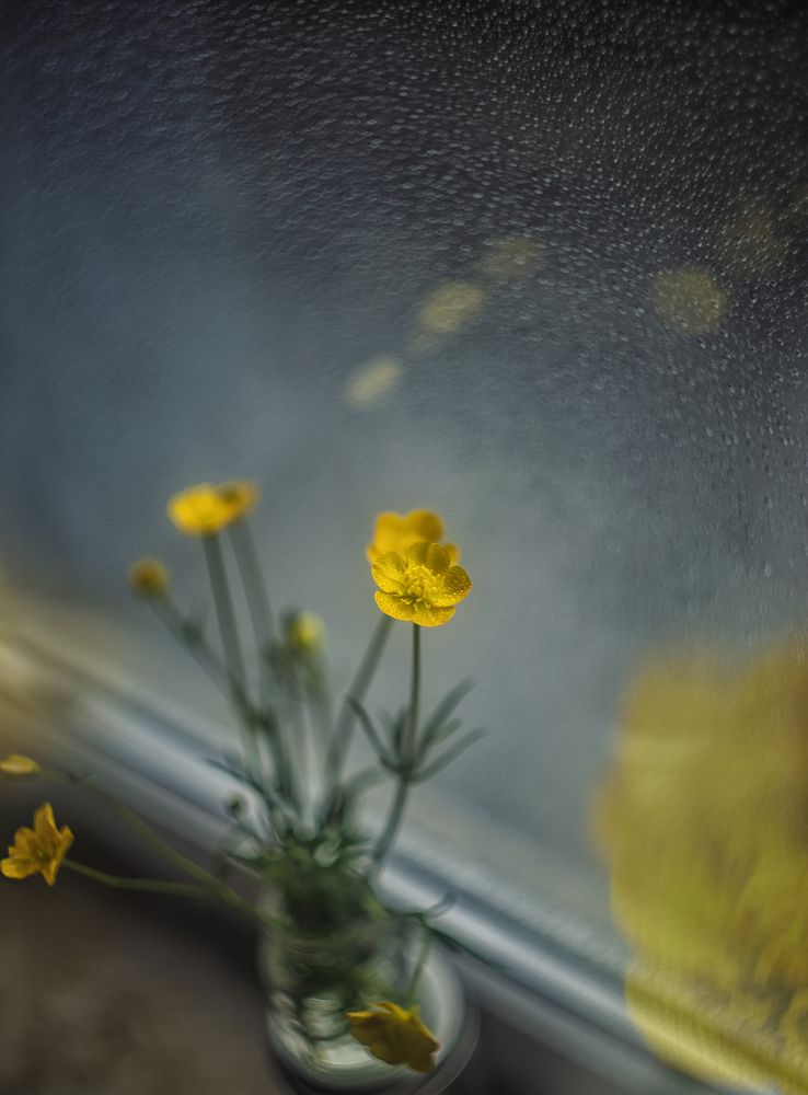 Photo 2624203