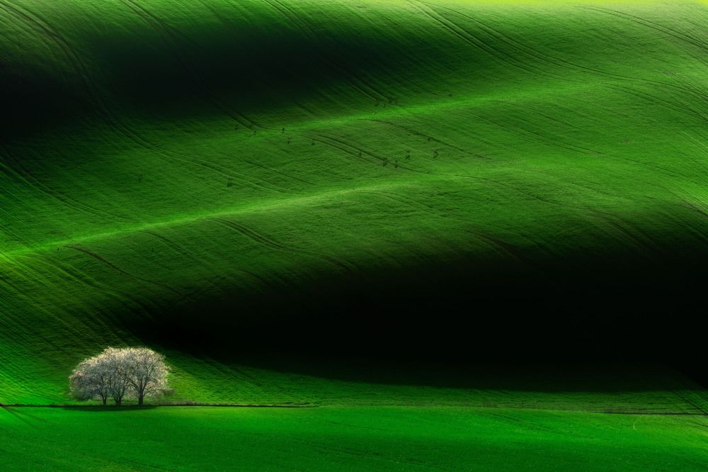 Spring