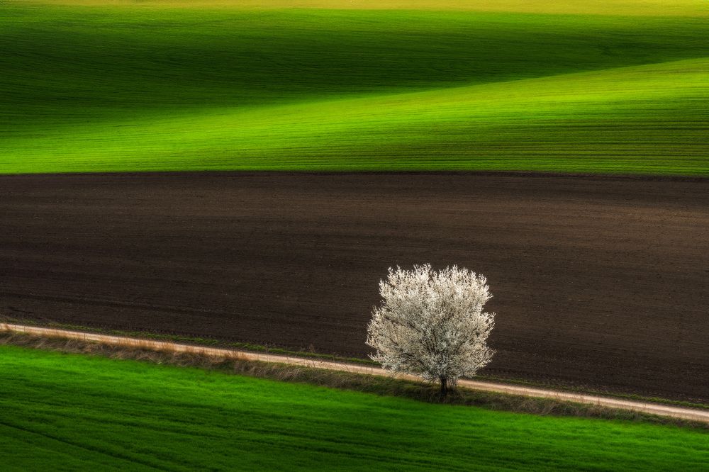 Spring