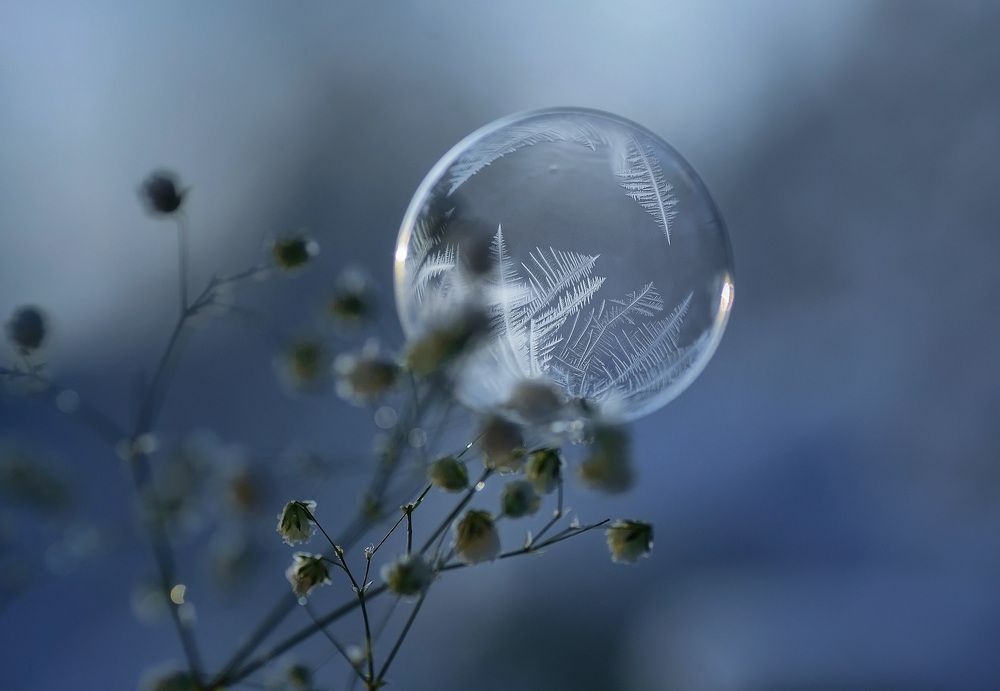 Photo 2624868