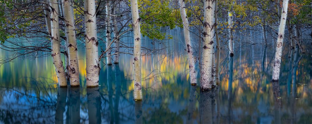 Collection of landscape and nature photos by Alex Gubski