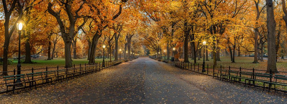 Collection of landscape and nature photos by Alex Gubski