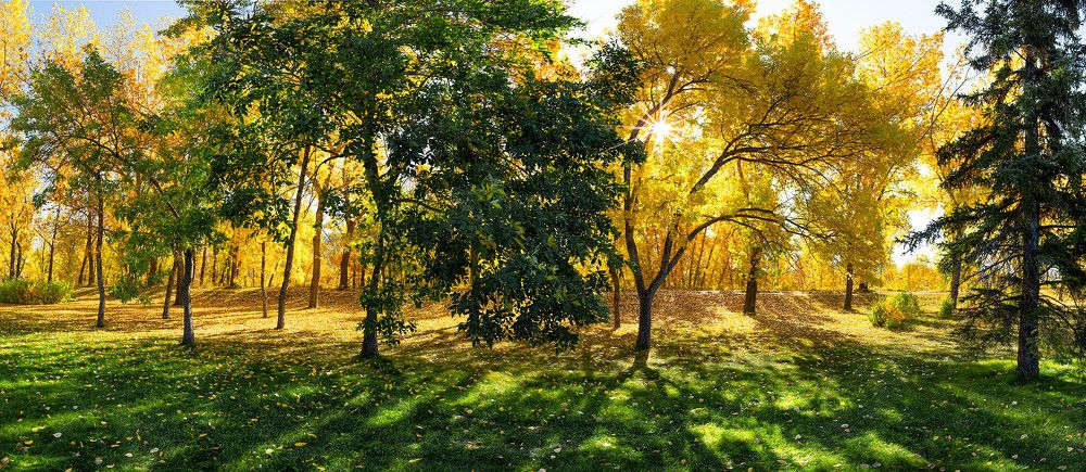 Collection of landscape and nature photos by Alex Gubski