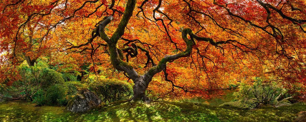Collection of landscape and nature photos by Alex Gubski