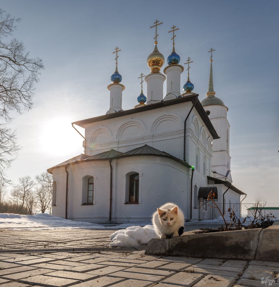 Свято-Покровский Добрый монастырь