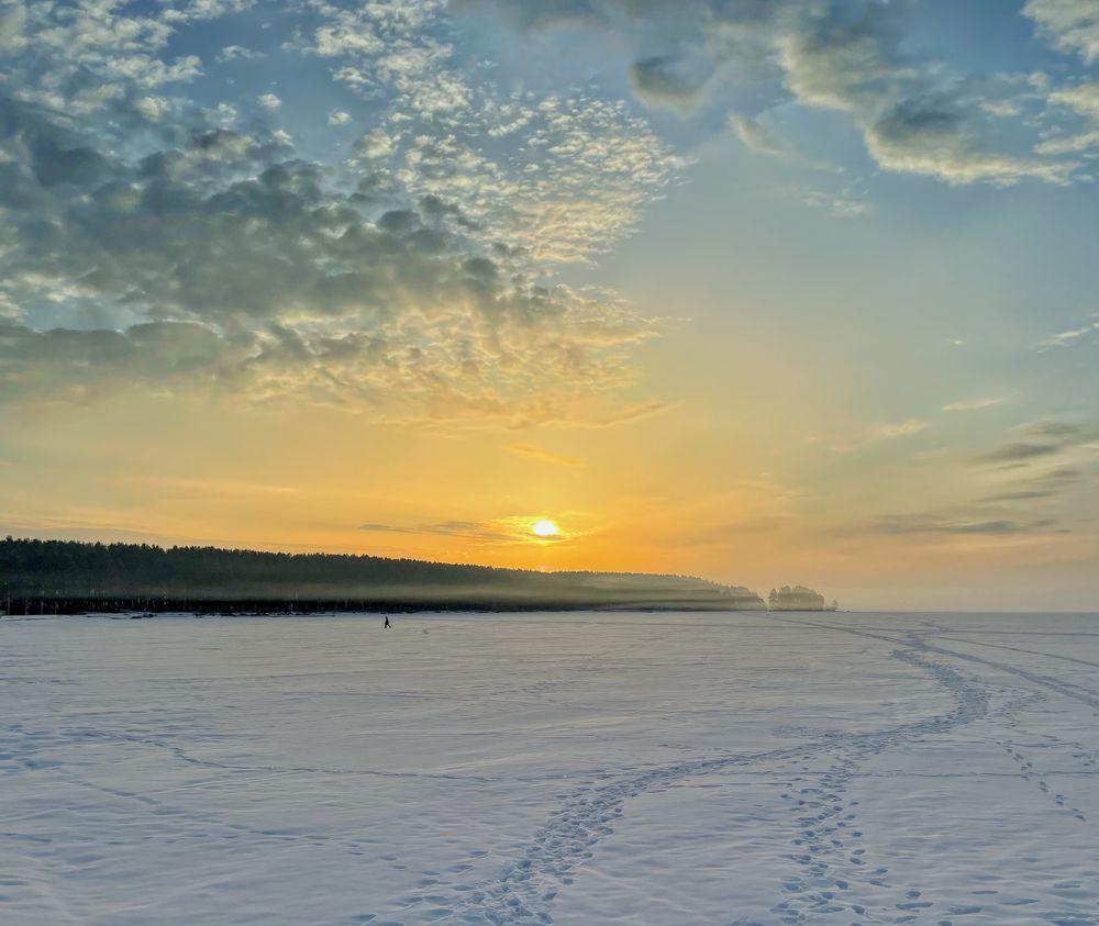 Раннее утро в городском парке