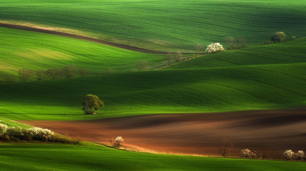 Spring