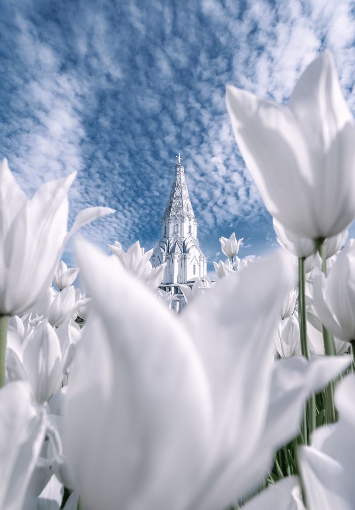 Весенняя фантазия