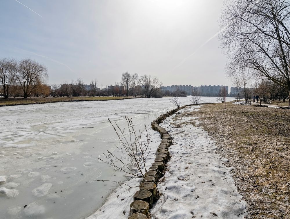 Апрель на городском пруду
