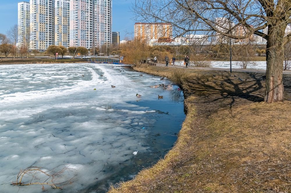 Апрель на городском пруду