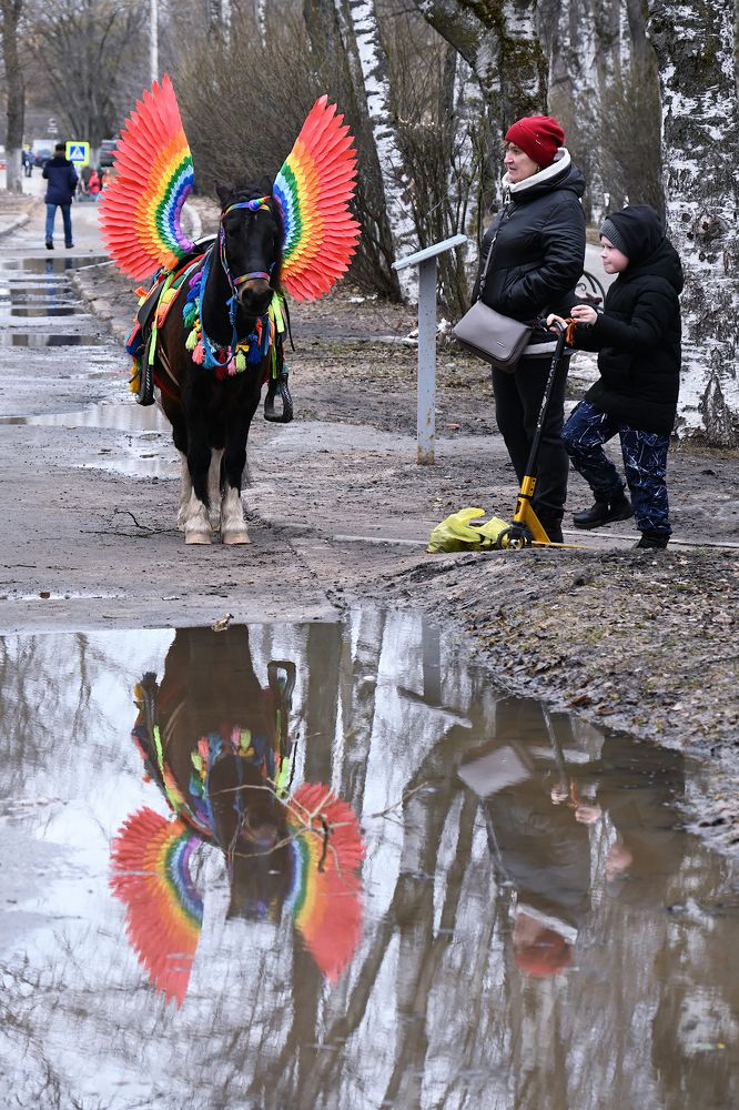 Вологда в отражениях