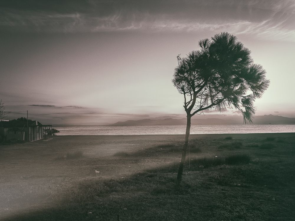 SeaLand