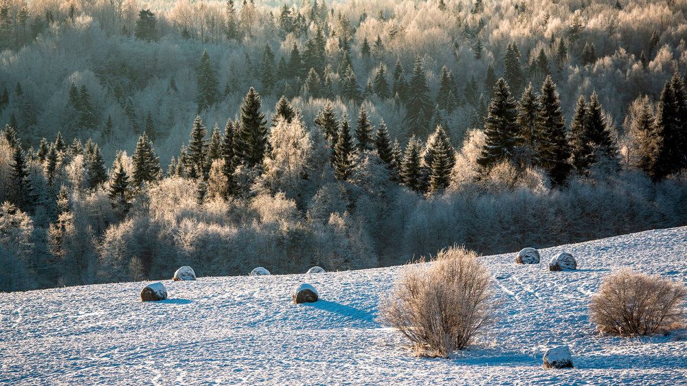 Winter time