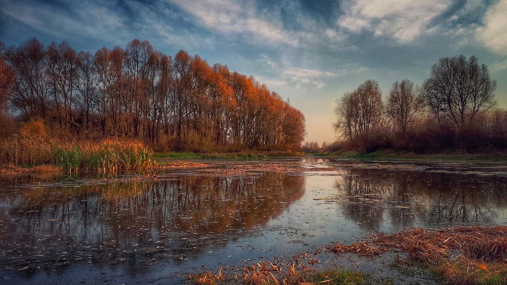 Природа родного края.