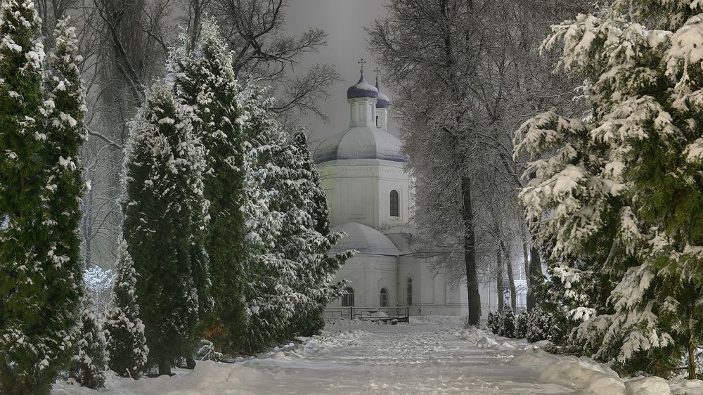 Природа родного края.