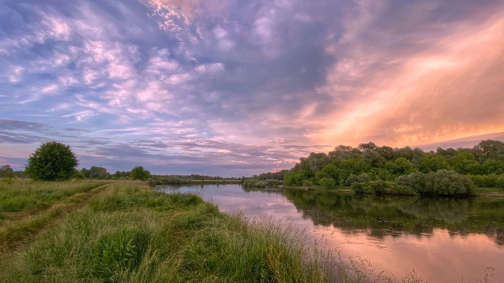 Природа родного края.