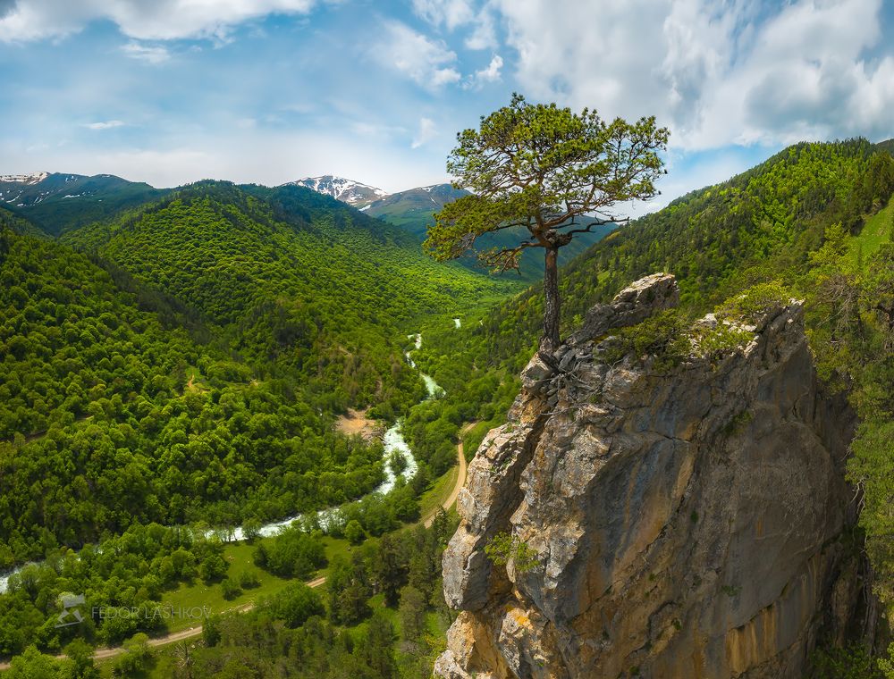 Майская зелень в горах Кавказа