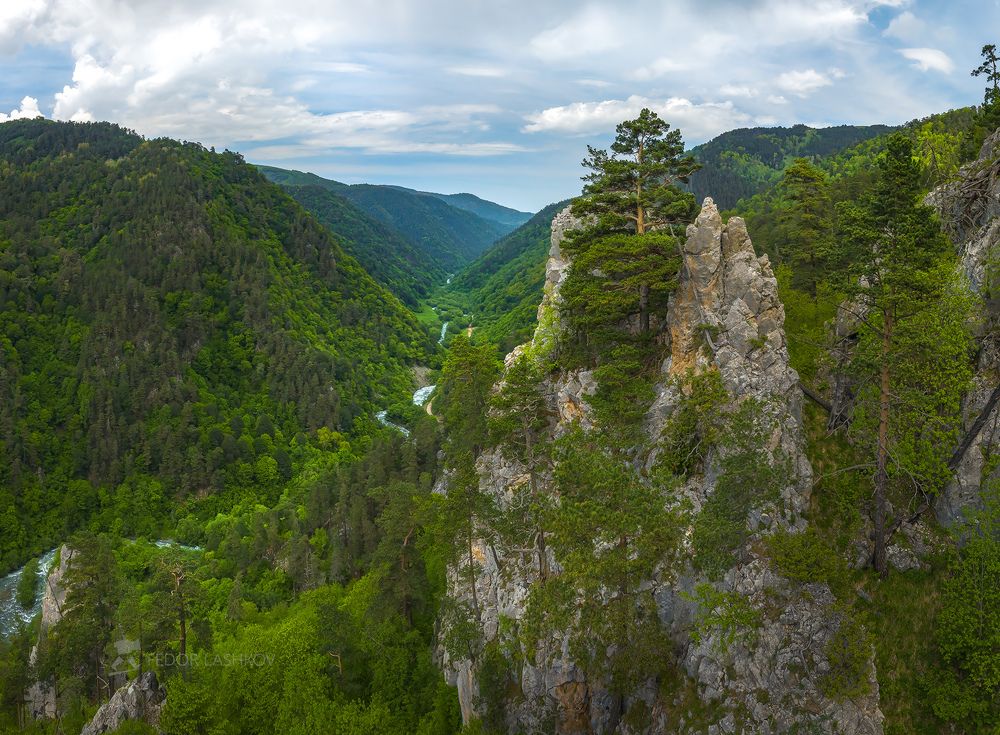 Майская зелень в горах Кавказа