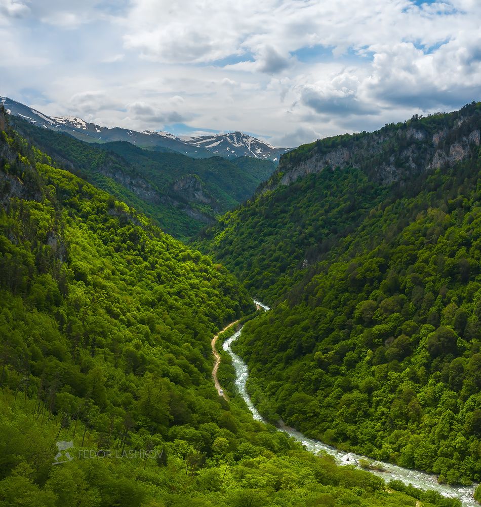 Майская зелень в горах Кавказа
