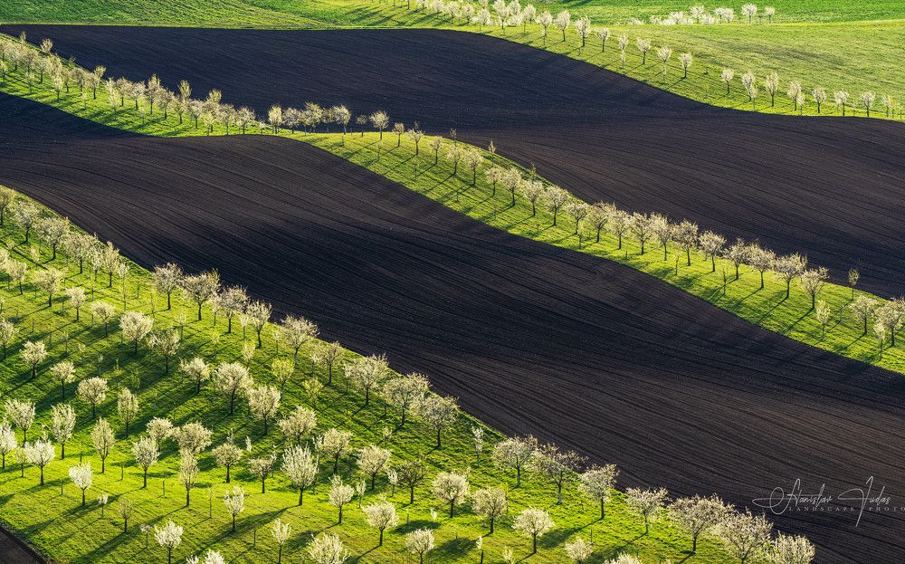 Spring in Moravia