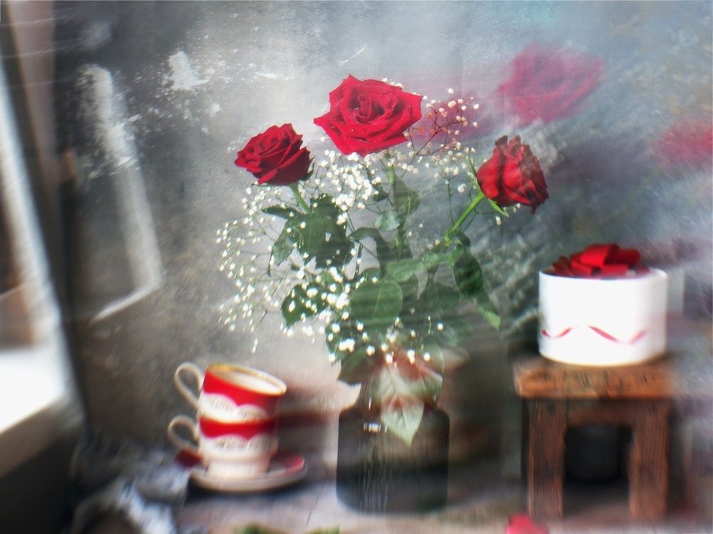 Photo 2628683