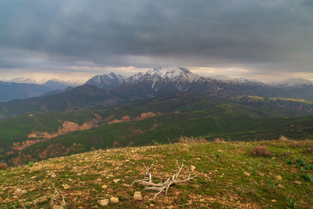 Photo 2628753