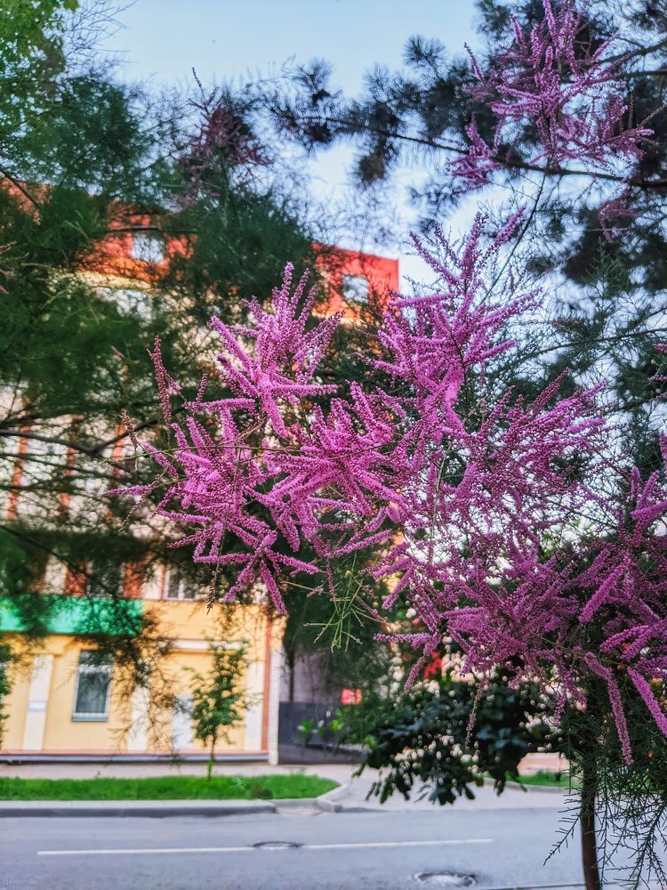 На улицах волжского города