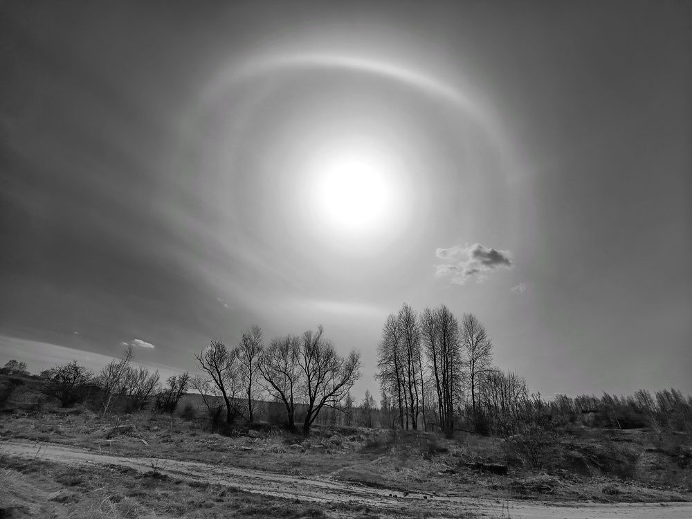 Photo 2629164