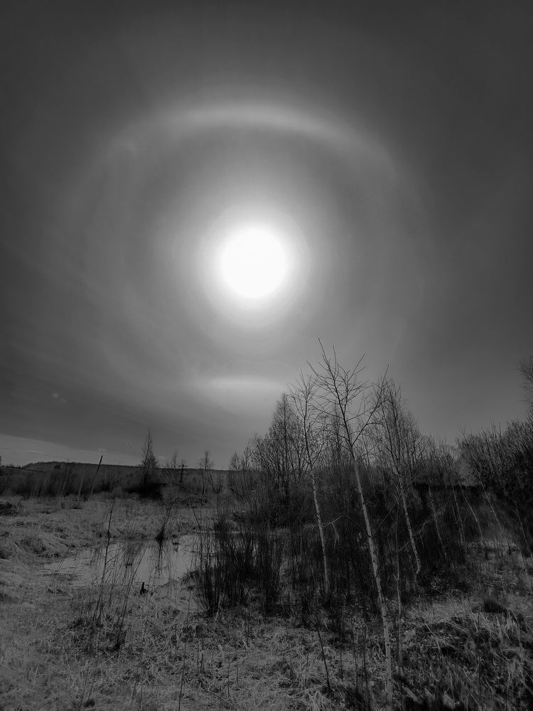 Photo 2629165
