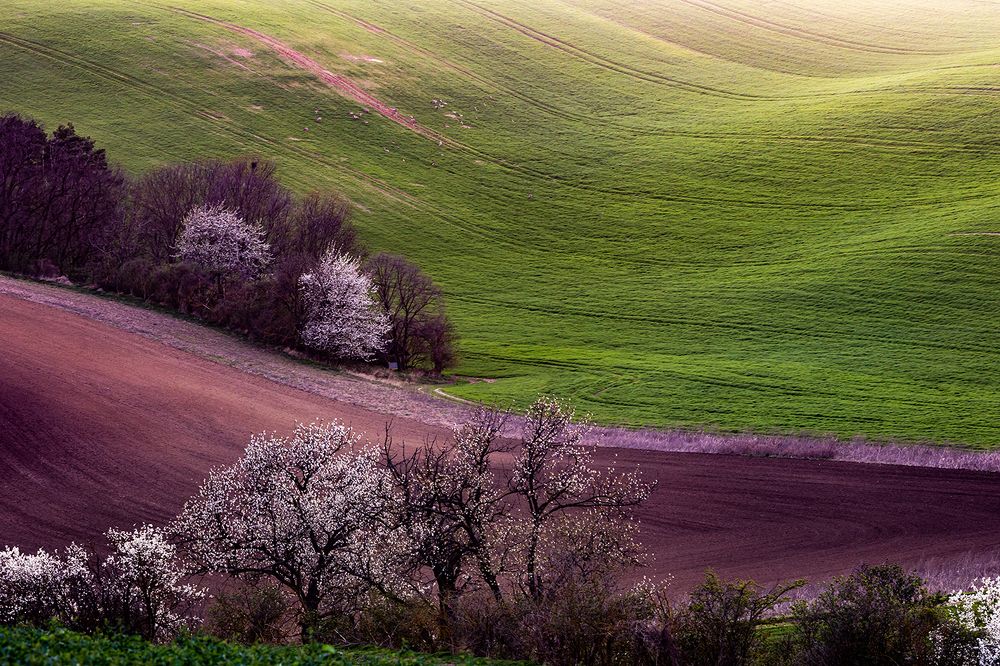 Моравская Тоскана