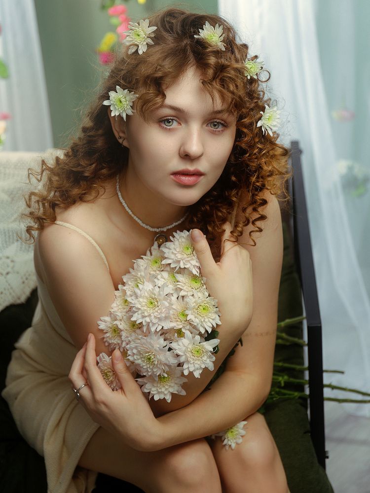 Сhrysanthemum